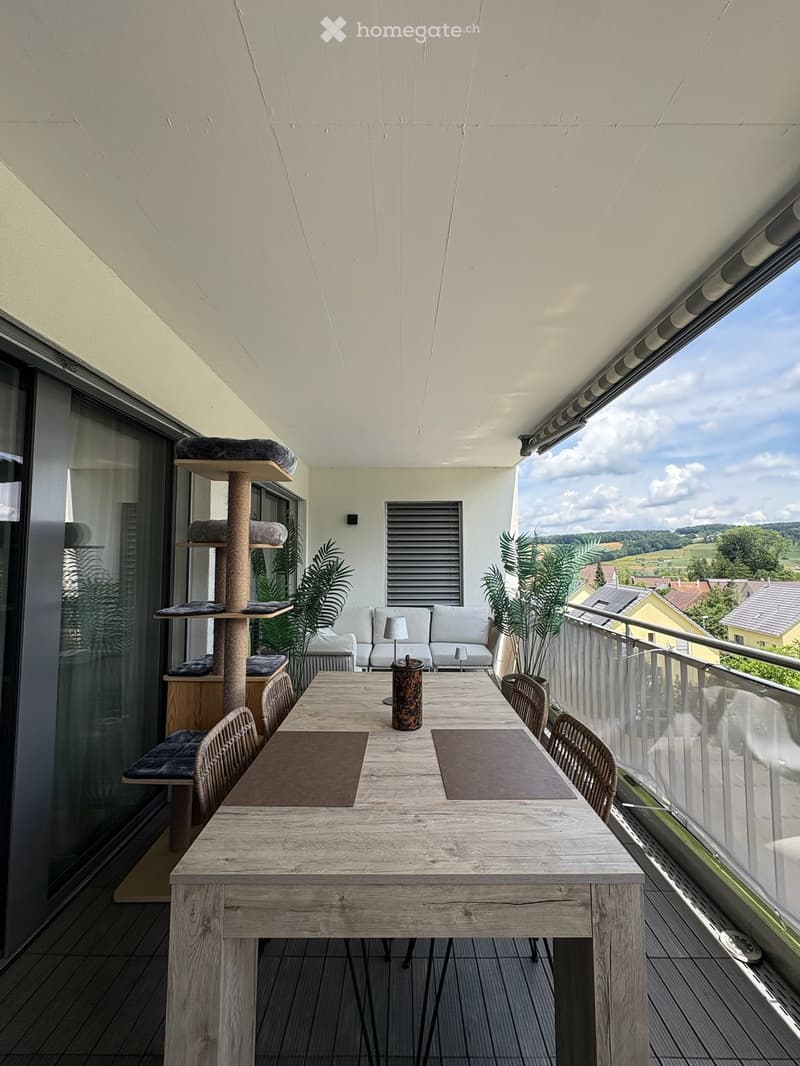 Balcony with wooden table, chairs, sofa, cat tree, and potted plants, offering a scenic view of the countryside.