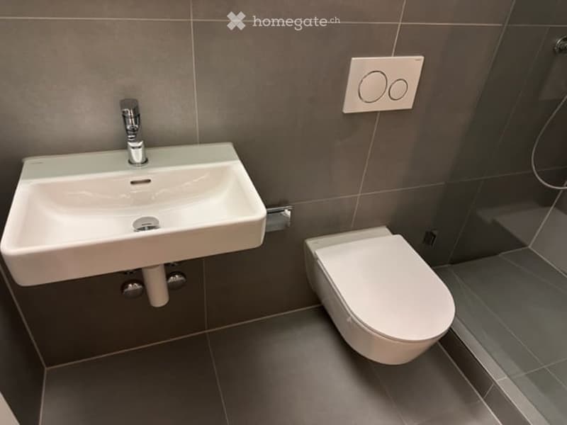 Modern bathroom with a white sink, chrome faucet, and white toilet. Dark grey tiled walls and floor.