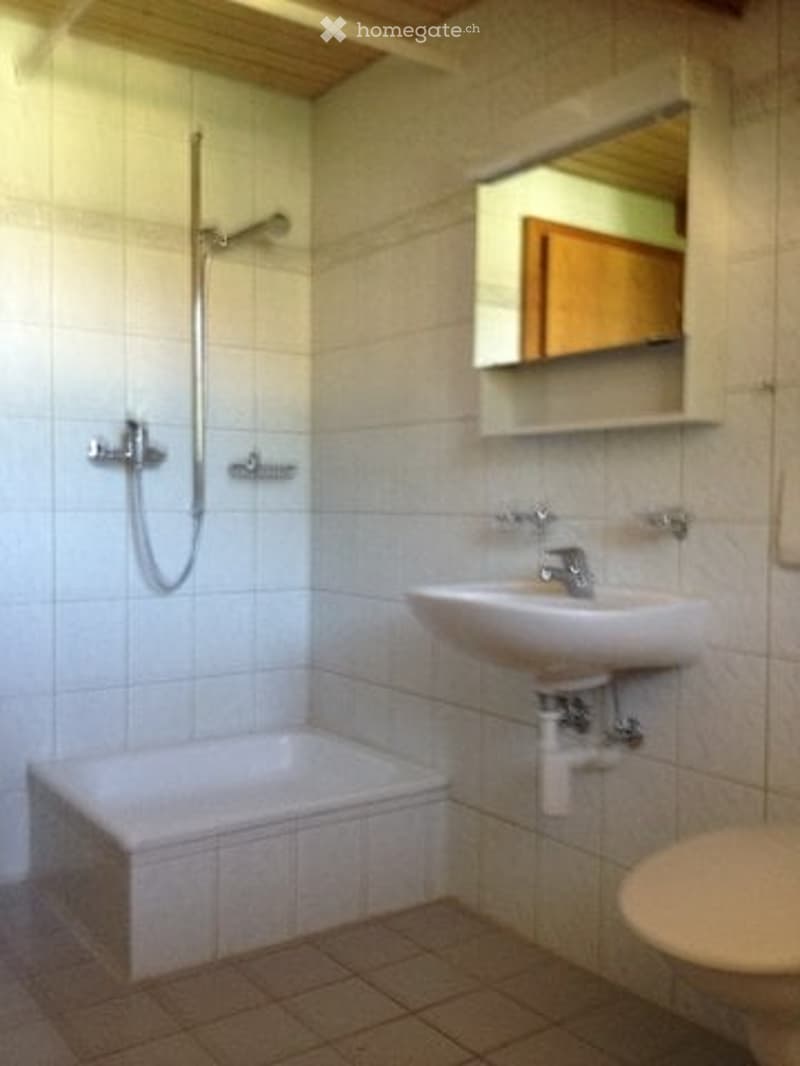 Bathroom with bathtub, shower, sink, and toilet