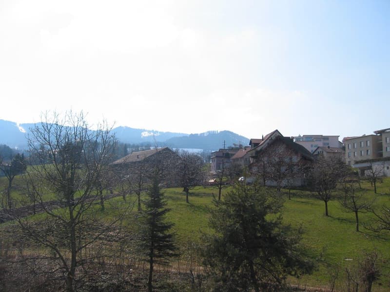 grass field, bare trees, houses, mountains in the background