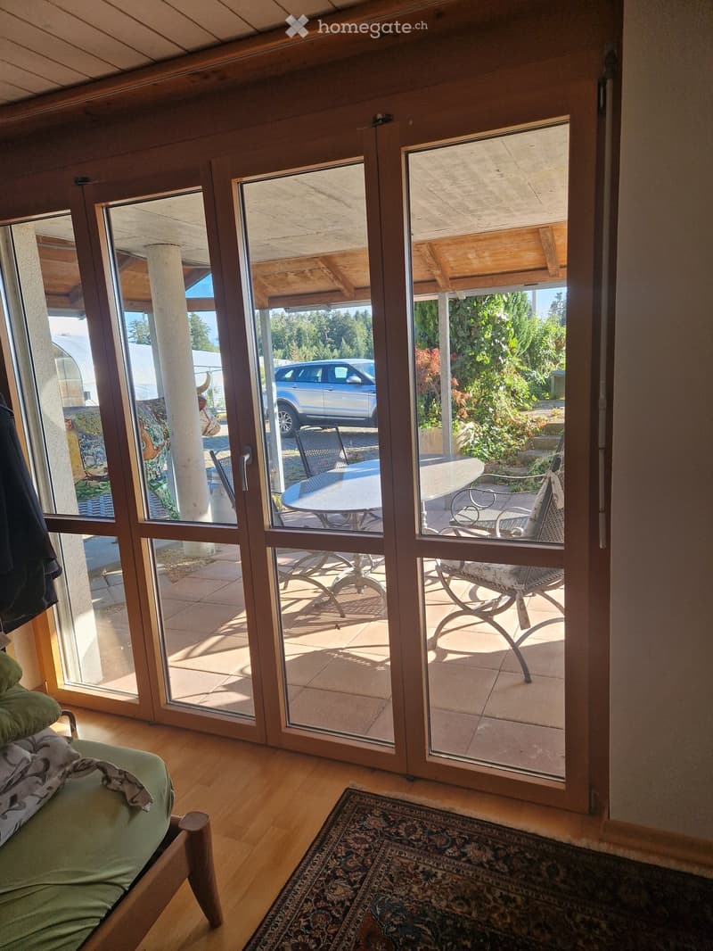 A room with wooden flooring, a green sofa, a patterned rug, and large glass doors leading to a patio with outdoor furniture and a parked car visible outside.