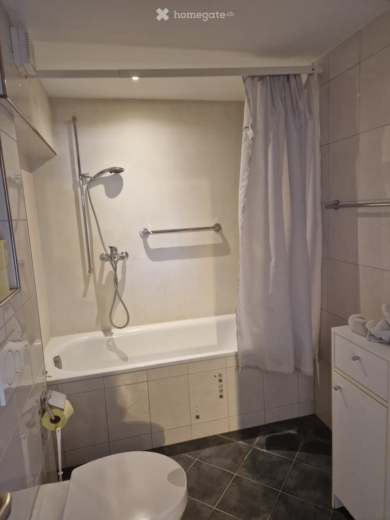 Modern bathroom with a bathtub, toilet, showerhead, and a shower curtain. Features a handrail, toilet paper holder, and a small cabinet with towels.