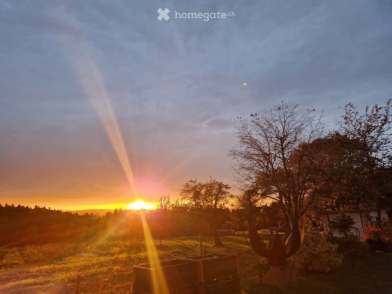 A serene outdoor scene at sunset with a grassy field, trees, and a modern sculpture, featuring warm golden light rays from the setting sun.