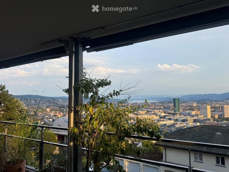 Balcony with a view of a cityscape, featuring potted plants and a metal railing.