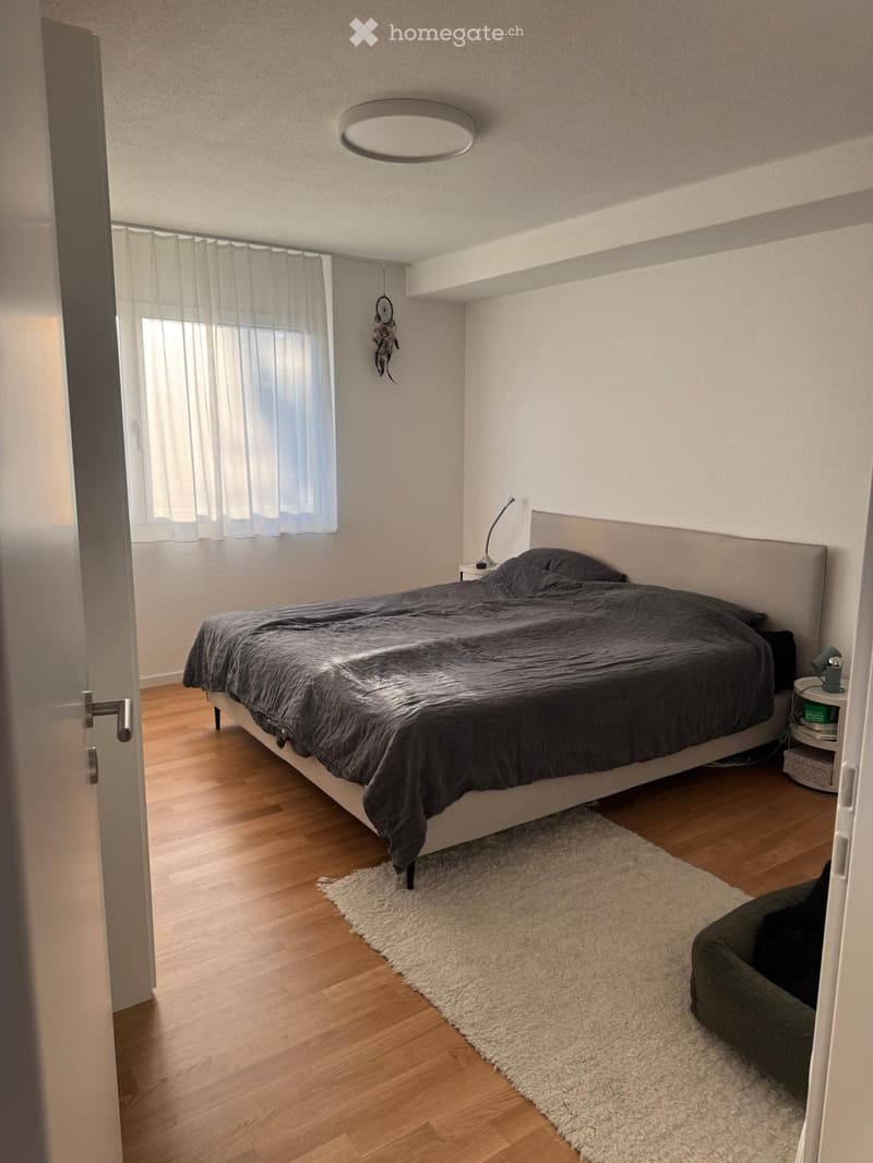 Modern bedroom with wooden flooring, a large bed with dark bedding, a nightstand with a lamp, a small white rug, and a window with sheer curtains.