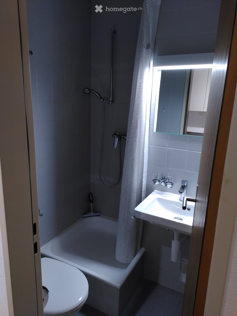Modern bathroom with a bathtub, toilet, sink, mirror, and shower area with a curtain.