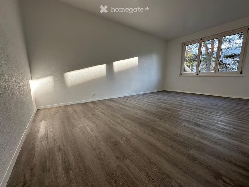 Empty room with light-colored walls and wooden flooring, featuring a large window with a view of trees.
