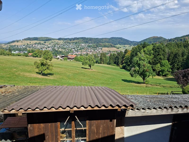 A scenic view from a rooftop showing a lush green valley with scattered trees, a small village in the distance, and rolling hills under a clear blue sky.
