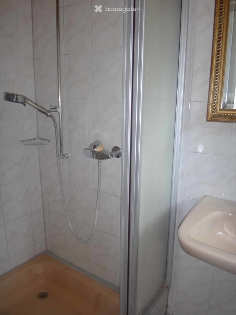 Modern bathroom with a glass-enclosed shower, chrome fixtures, and a white sink.