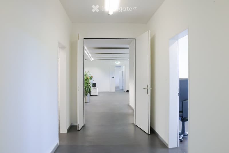 Modern, clean hallway with white walls, grey flooring, and open doors leading to adjacent rooms. Visible elements include a potted plant and a chair in the adjacent room.