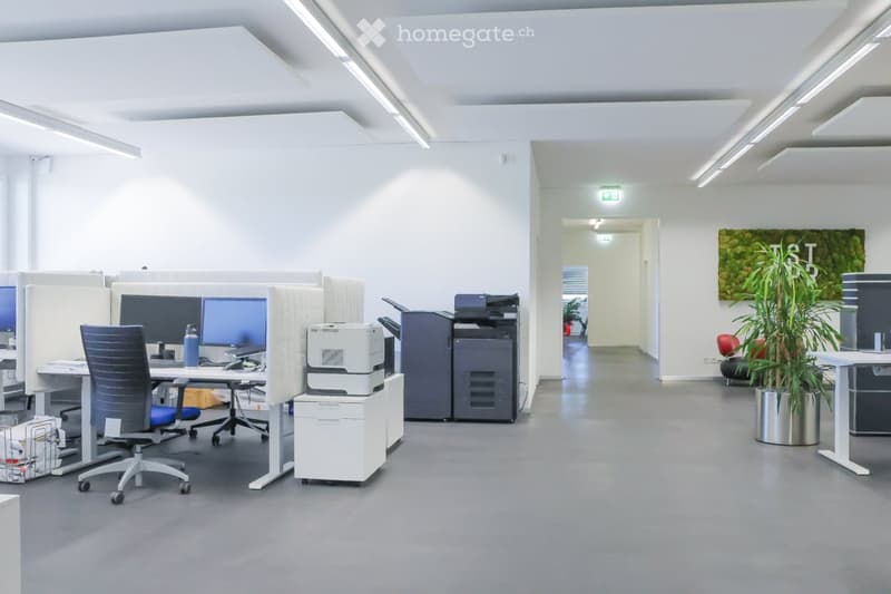 Modern office space with desks, chairs, computer screens, printers, and a potted plant.
