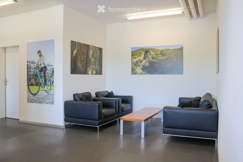 Modern, minimalist living room with dark leather sofas, a wooden coffee table, and large wall art depicting outdoor activities.