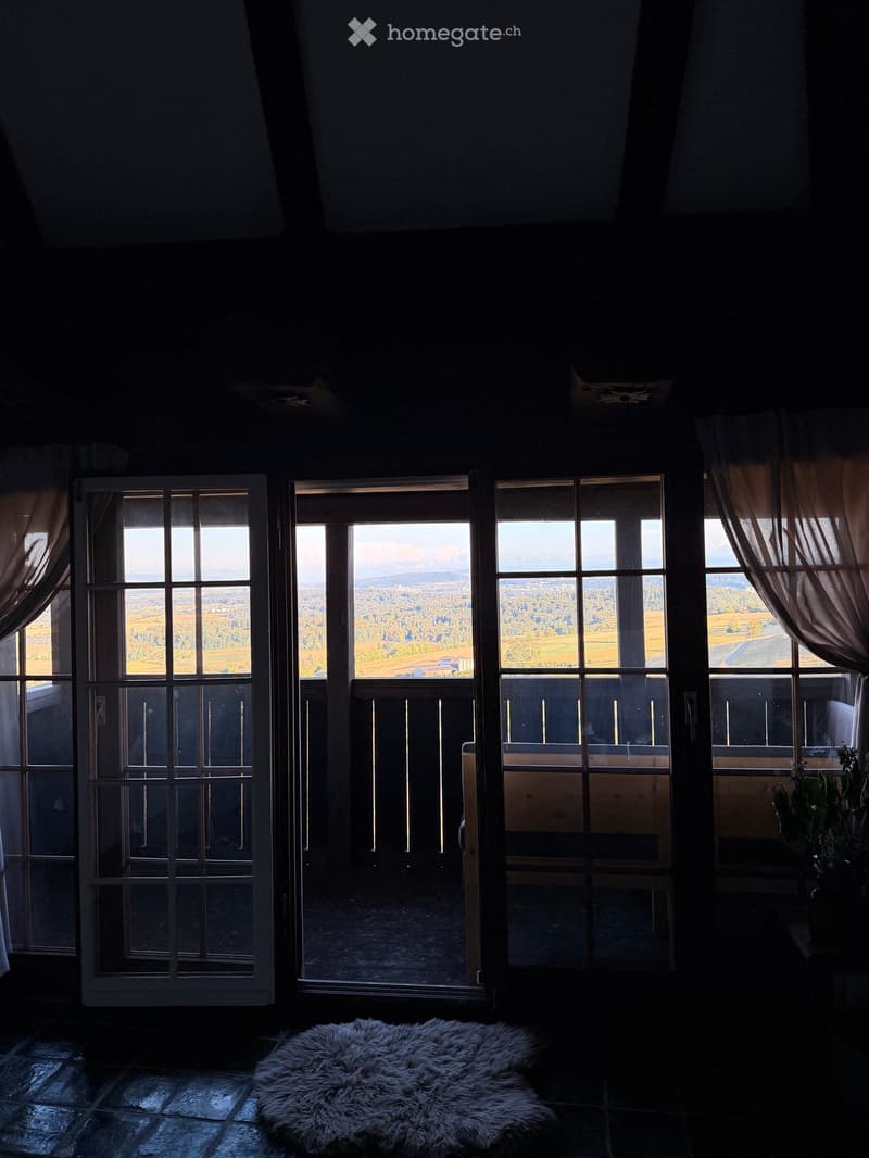 Room with large windows offering a scenic view, featuring a fur rug on the floor and a small plant near the window.