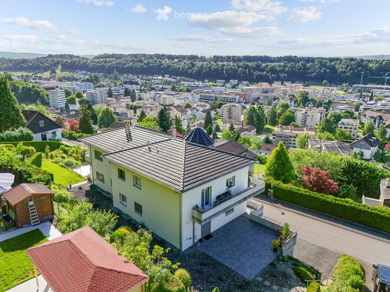 A two-story house with a gray roof and white walls, surrounded by greenery and a driveway, with a cityscape in the background.