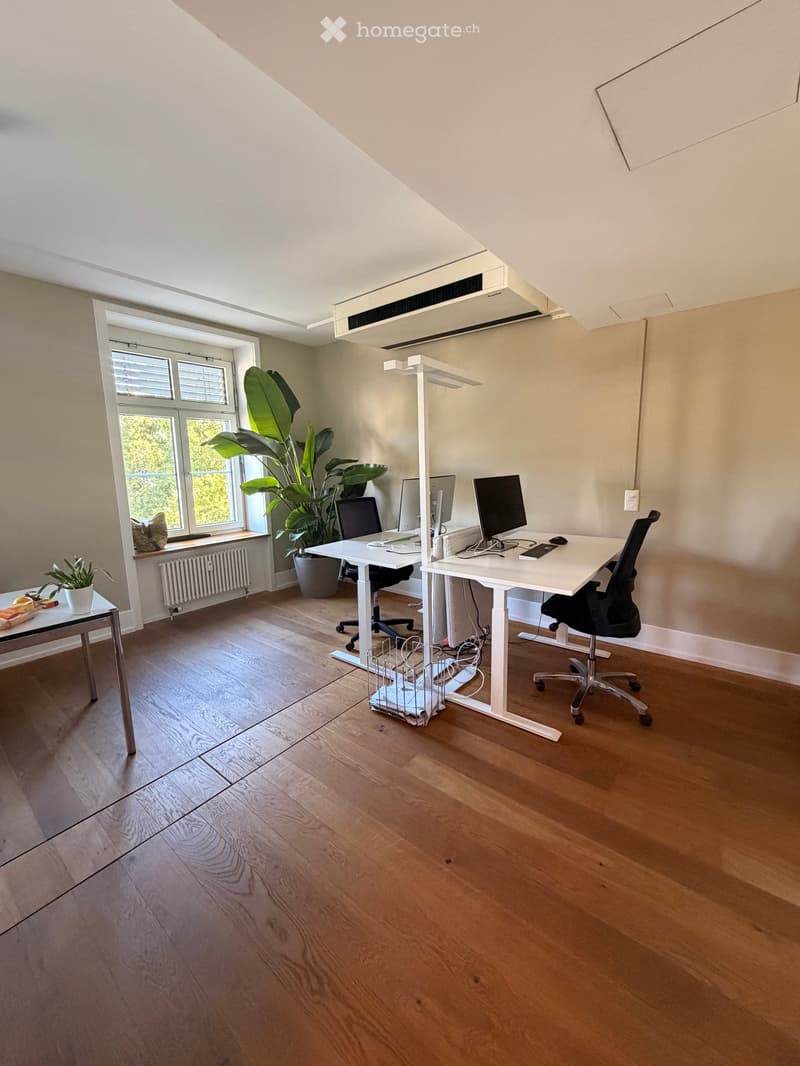 Bright, modern office space with wooden flooring, large window, two desks with chairs, computer screens, and plants.