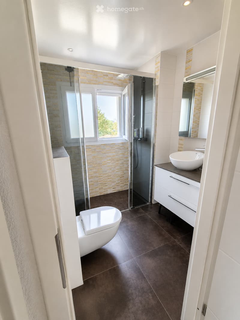 Modern bathroom with a bathtub, sink, mirror, and a glass-enclosed shower. The space features dark brown tiles on the floor and light-colored walls with decorative tiles around the shower area.