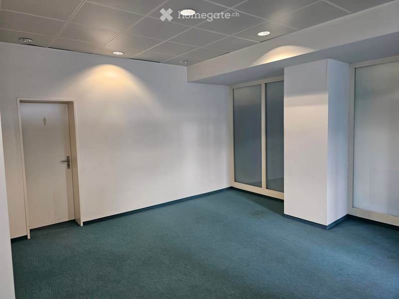 Empty room with white walls, blue carpet, a closed door, and a glass partition with frosted glass panels.