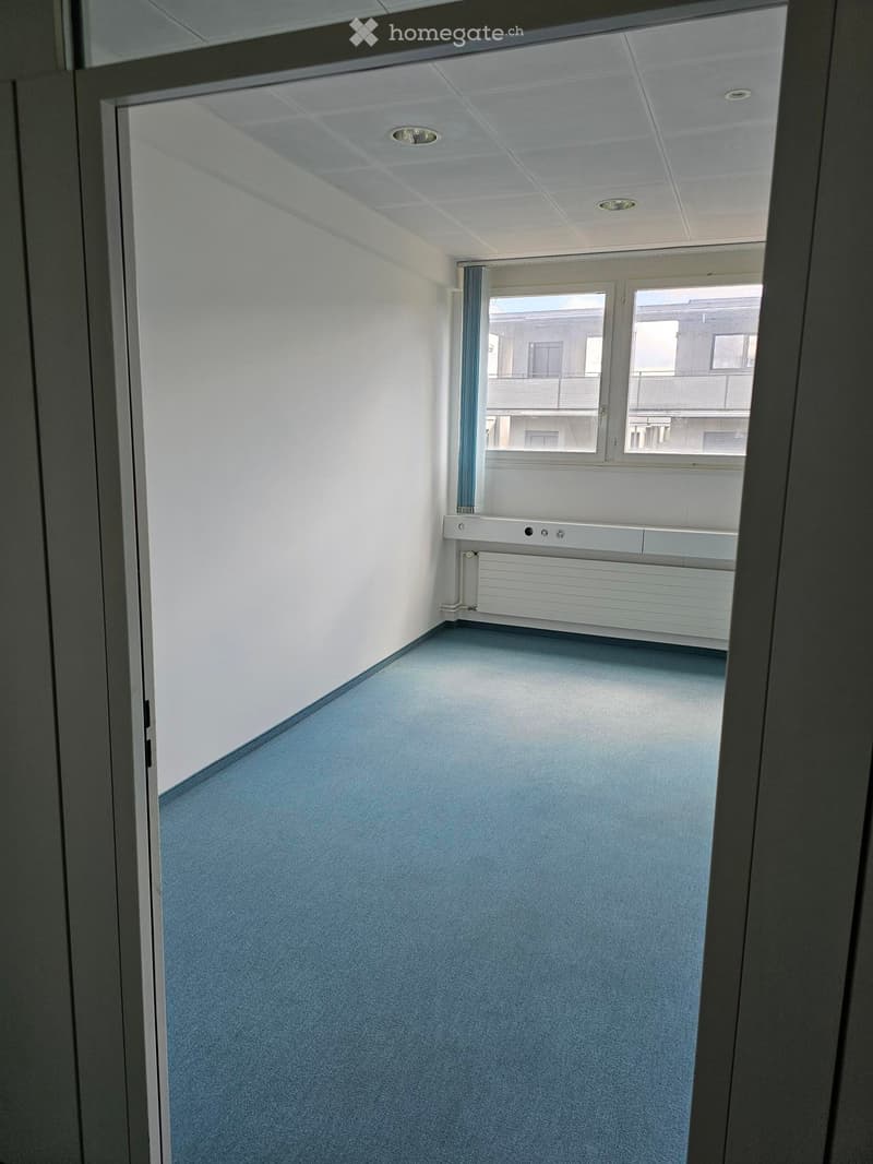 Empty room with light blue carpet, white walls, and a window with a radiator below it.
