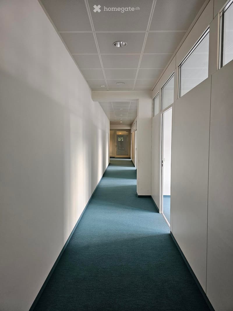A long, narrow hallway with light-colored walls, blue carpeted flooring, and recessed ceiling lighting. The corridor features glass-paneled doors on one side and leads to another area in the distance.