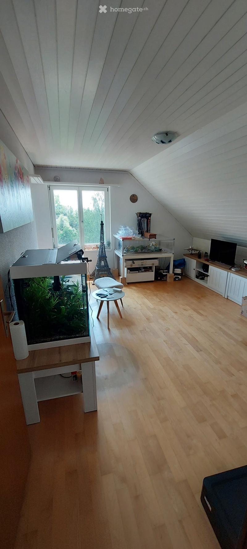 Attic room with wooden flooring, slanted white ceiling, large window, fish tank, small table, laptop, and TV stand.