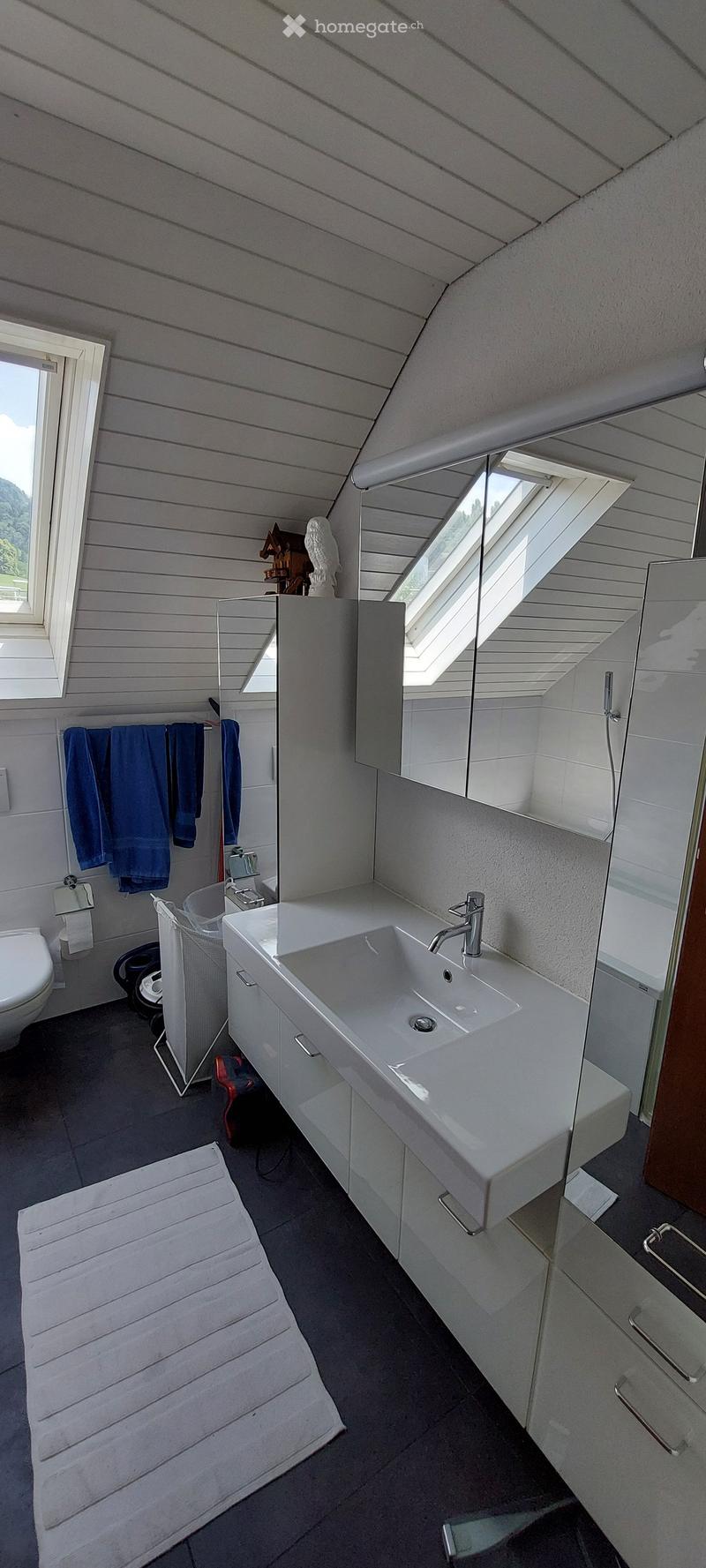 Modern bathroom with white walls, wooden ceiling, large mirror, sink, toilet, and towel rack. Features a skylight window and a shower stall with glass enclosure.