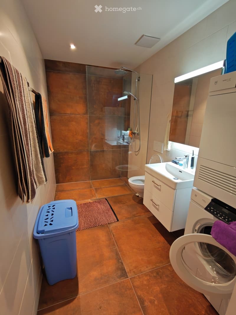 Modern bathroom with a glass-enclosed shower, a white sink with a mirror, a toilet, and a washing machine. The floor is tiled in warm brown tones, and towels are neatly hung on the wall.