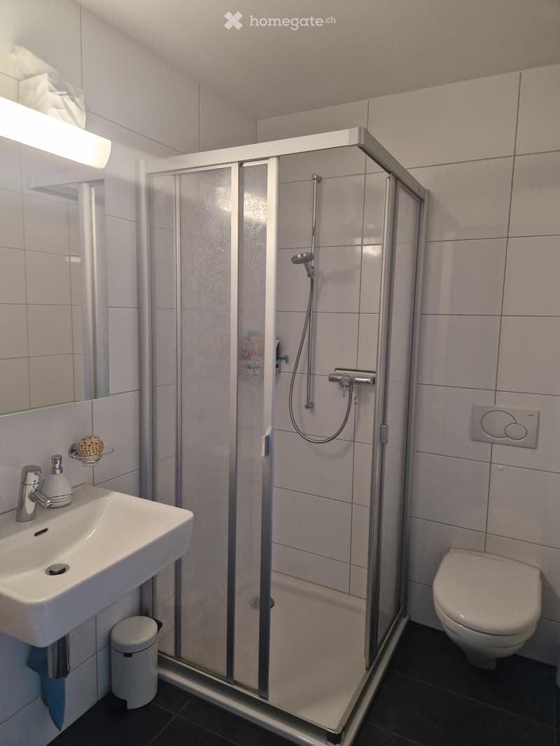 Modern bathroom with a white sink, chrome faucet, toilet, glass-enclosed shower, and a mirror above the sink.