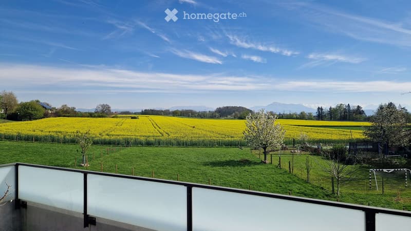 View from a balcony overlooking a green field with yellow flowering crops, trees, and distant mountains under a clear blue sky.