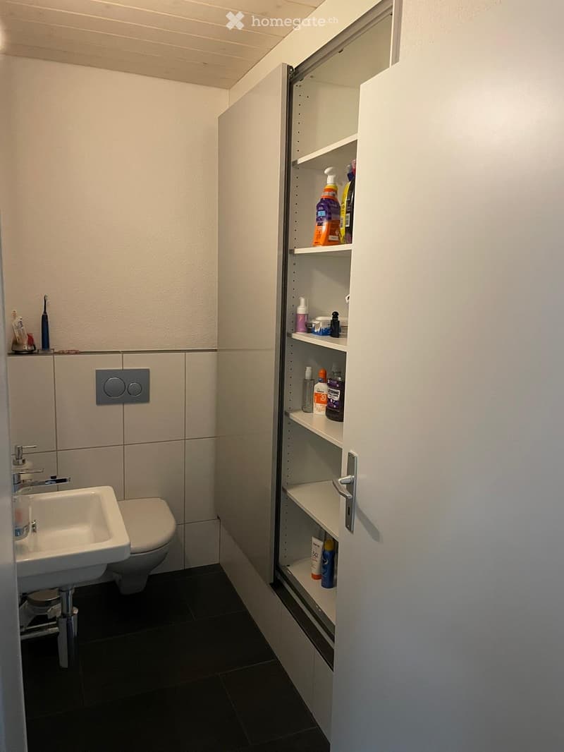 Modern bathroom with a white sink, toilet, and a cabinet with shelves holding cleaning supplies and toiletries.