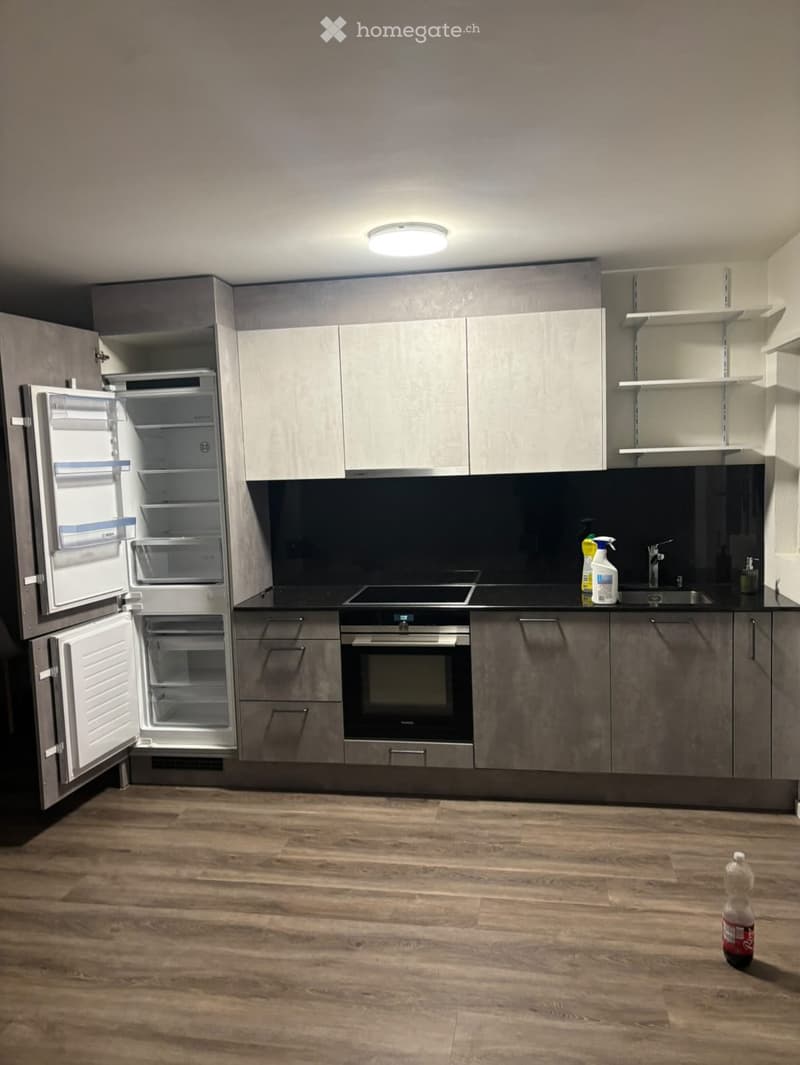 Modern kitchen with grey cabinets, stainless steel appliances, and wooden flooring. Features a refrigerator, oven, sink, and a bottle on the floor.