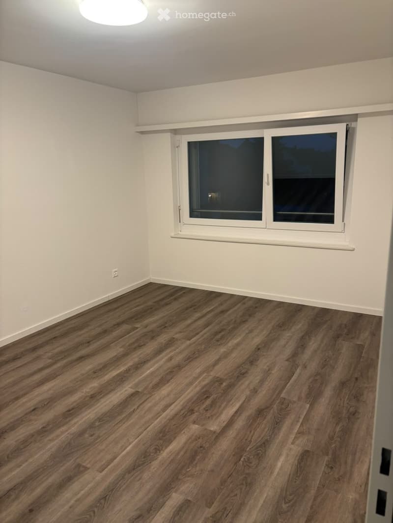 Empty room with light-colored walls, wooden flooring, and a large window with white frame.