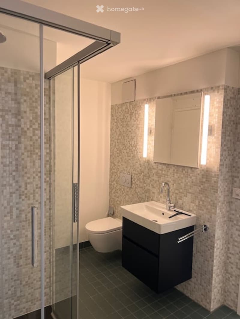 Modern bathroom with a glass-enclosed shower, a white sink with a black cabinet, a toilet, and a mirror with built-in lighting.