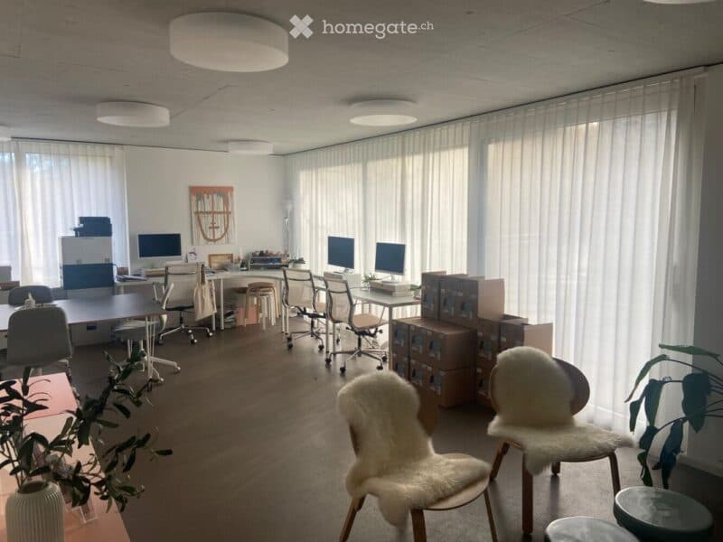 Office space with desks, chairs, computer screens, and a few decorative elements like plants and a vase.