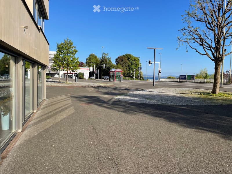 Urban outdoor area with paved ground, trees, traffic lights, and a small bus stop shelter.