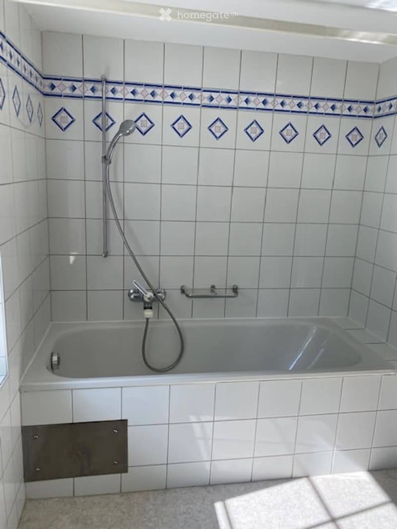 Bathtub with a handheld showerhead and a handrail, surrounded by white tiles with blue diamond-patterned borders.