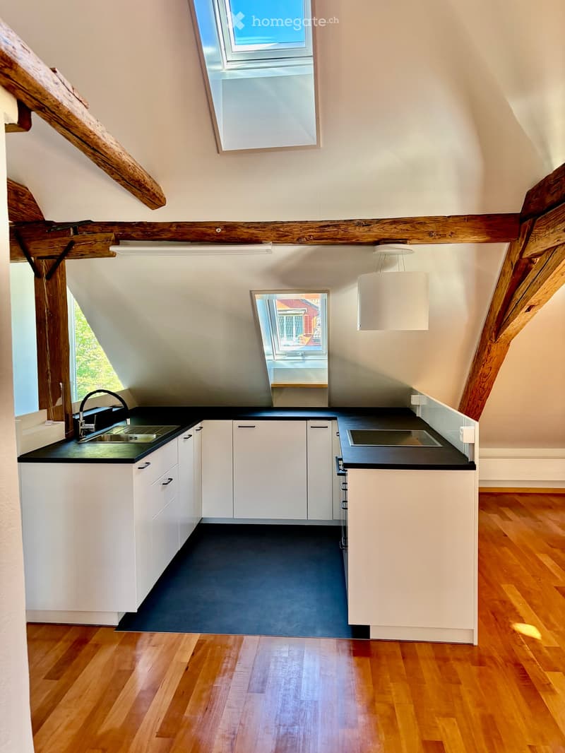 Modern kitchen with white cabinets, black countertops, wooden flooring, and skylight windows.