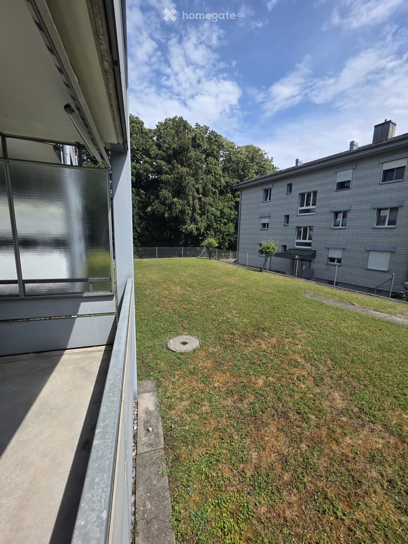A grassy backyard with a concrete pathway, a small tree, and a modern building with multiple windows and a gray exterior in the background.