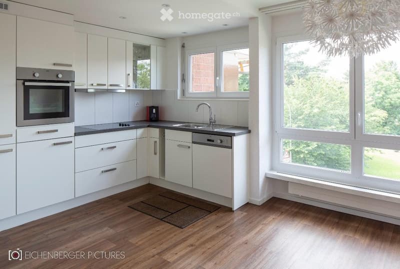 Modern kitchen with white cabinets, stainless steel appliances, wooden flooring, and large windows offering a view of greenery.