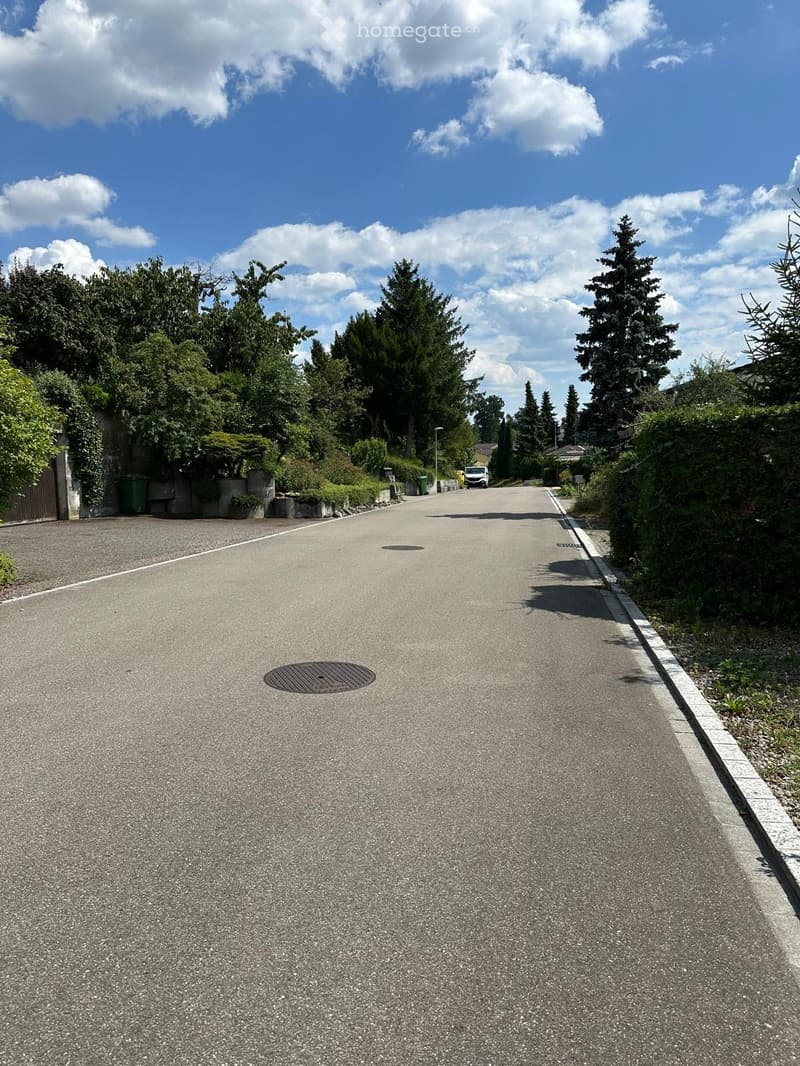 A quiet residential driveway lined with trees and greenery, leading to a house in the background.