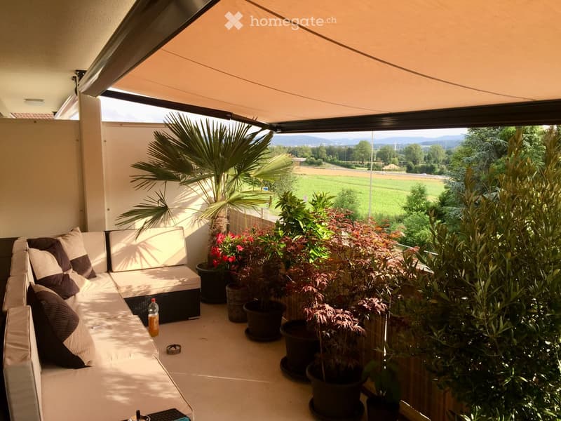 Balcony with a beige sofa, cushions, and numerous potted plants, including a large palm tree, overlooking a scenic countryside view.