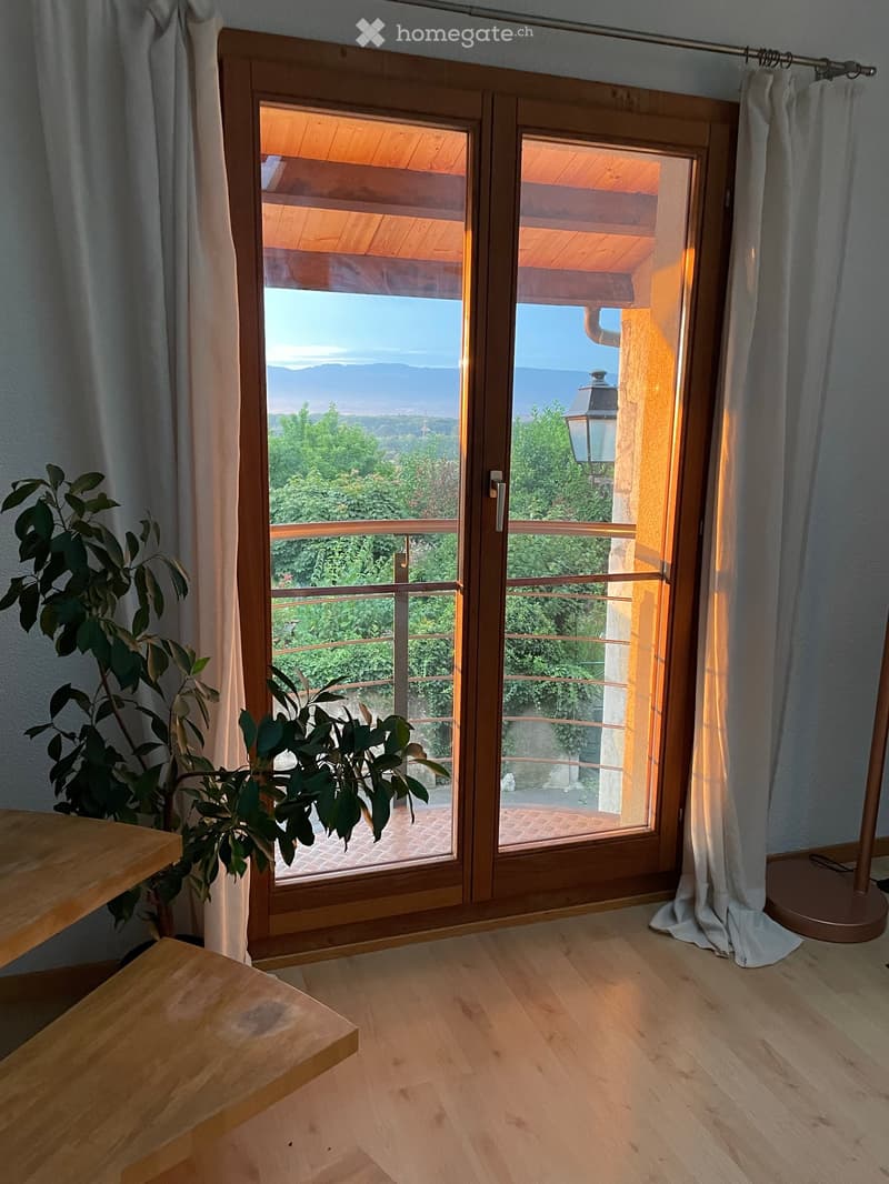 Empty room with wooden flooring, large sliding glass doors leading to a balcony with a scenic mountain view, and a small table with a plant near the entrance.