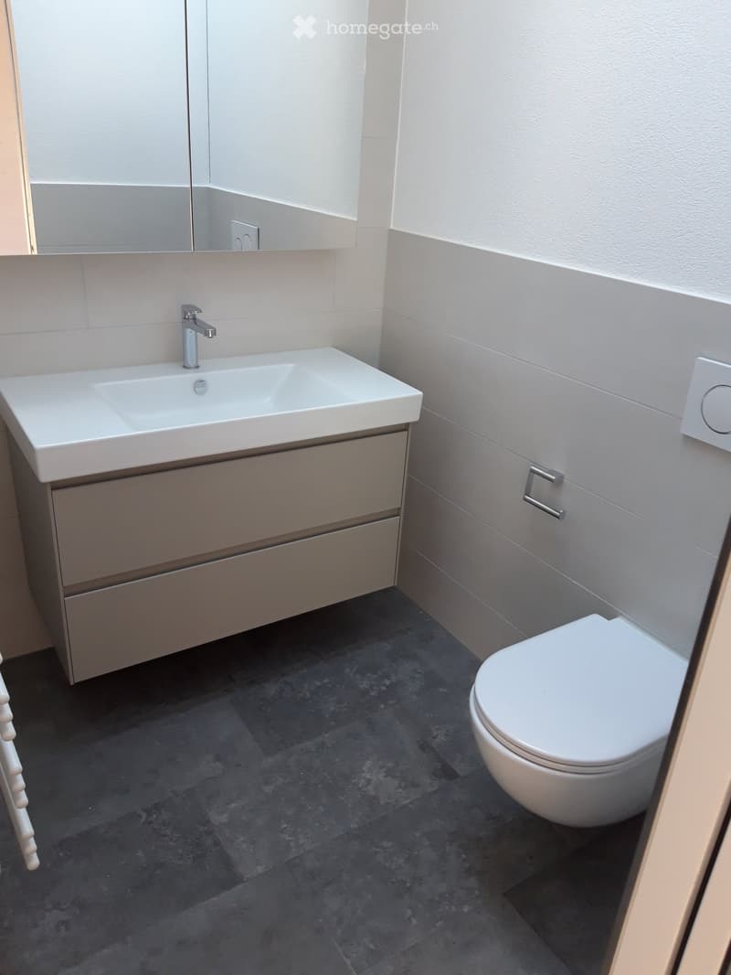 Modern bathroom with a white sink, chrome faucet, built-in cabinet, and toilet. Dark tiled floor and light-colored walls.