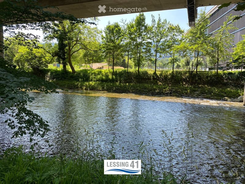 A serene river flows through a lush, green area surrounded by trees and bushes, with a modern building visible in the background.