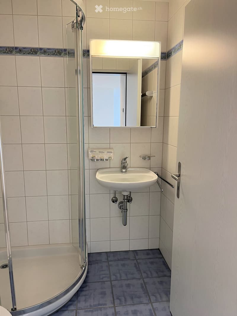 Modern bathroom with a white sink, mirror, and a glass-enclosed shower stall. The walls are tiled with beige tiles and the floor is covered with dark blue tiles.