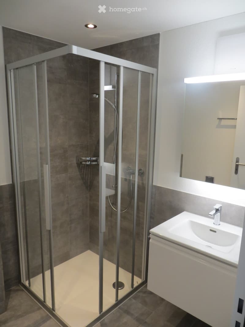 Modern bathroom with a glass-enclosed shower stall and a white sink with a chrome faucet.