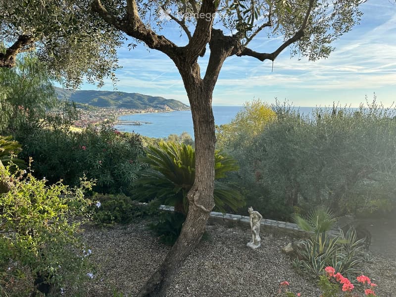 Garden with olive tree, various plants, and a scenic view of the sea and distant hills.