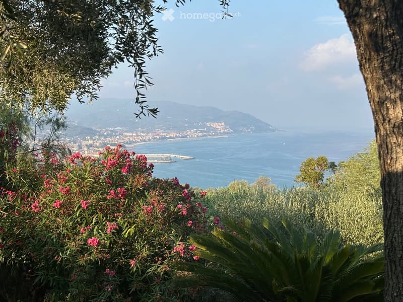A scenic garden view overlooking a coastal city with mountains in the background, featuring lush greenery and blooming pink flowers.