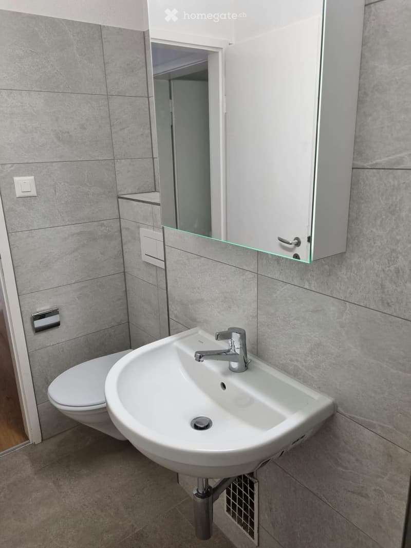 Modern bathroom with a white sink, chrome faucet, toilet, mirrored cabinet, and grey tiled walls.