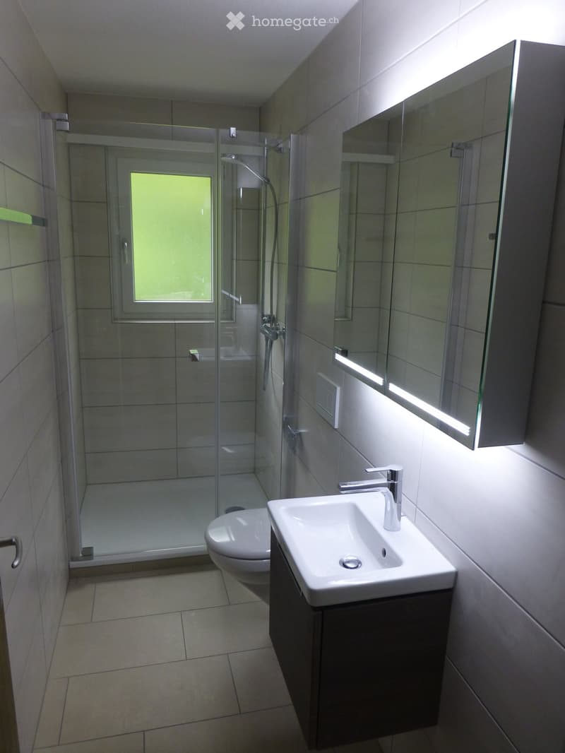 Modern bathroom with a white sink, chrome faucet, large mirror, toilet, and glass-enclosed shower with a window.