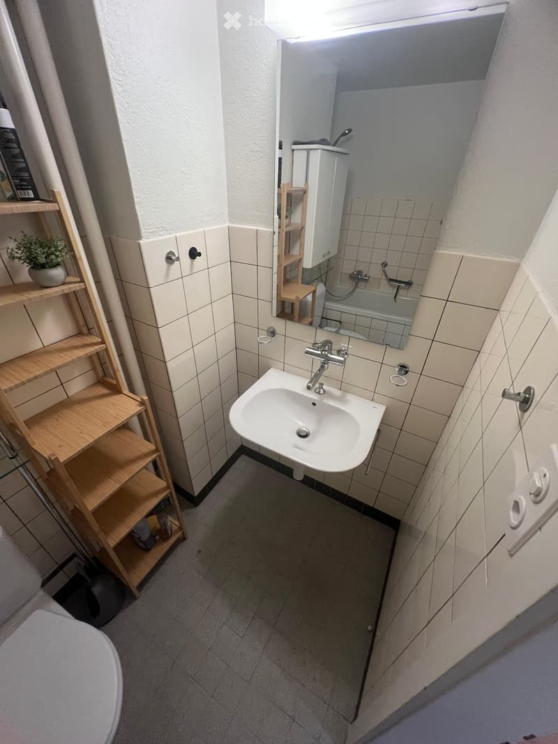 Bathroom with white tiled walls, a sink, a mirror, a toilet, a wooden shelf with a small plant, and a bathtub.